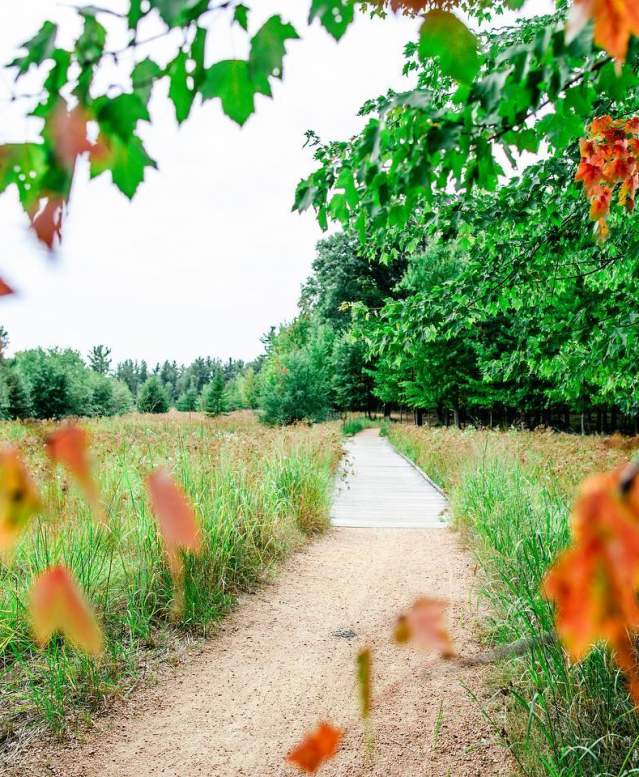 Schmeeckle Reserve in the Fall