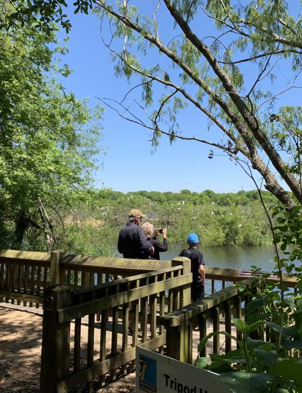 Group bird watching on walkway in Beaumont