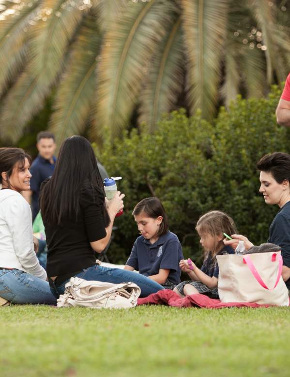 Family picnic