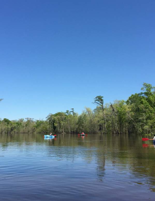 Paddling on the river