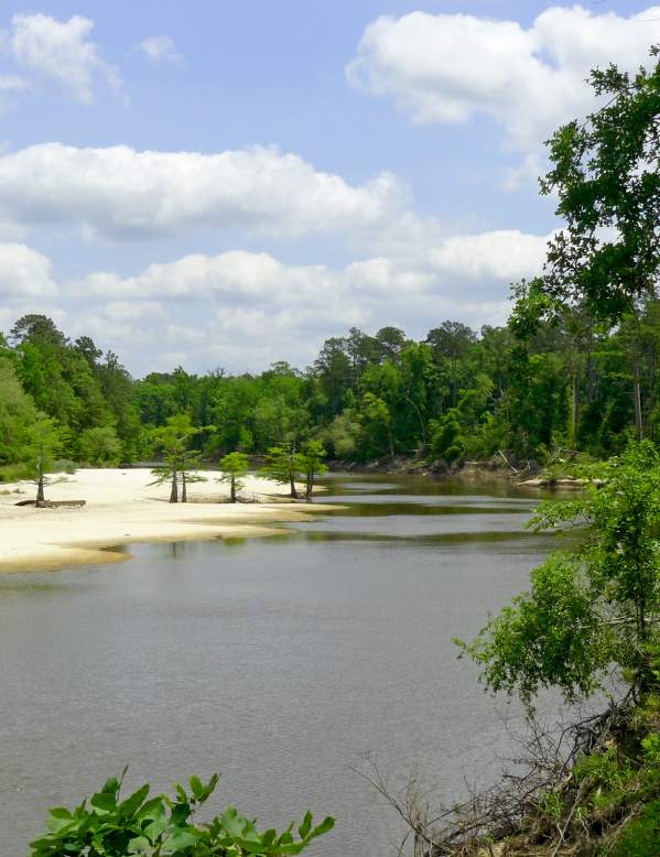 View of Lake at Village Creek