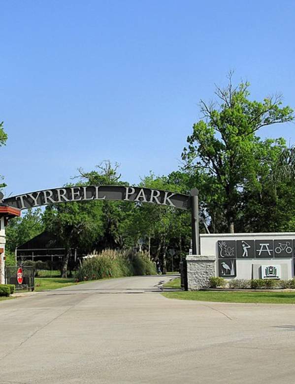 Tyrrell Park