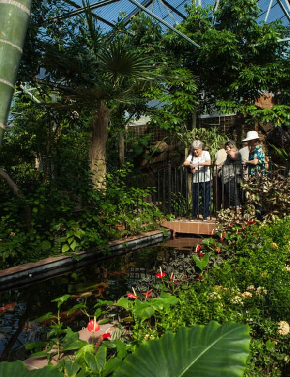 Beaumont Botanical Gardens
