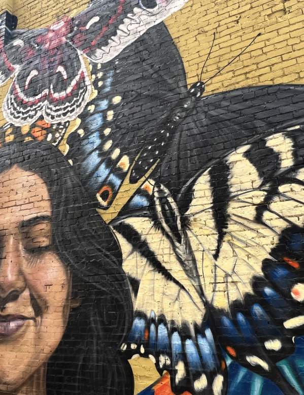 Butterflies and Carmen