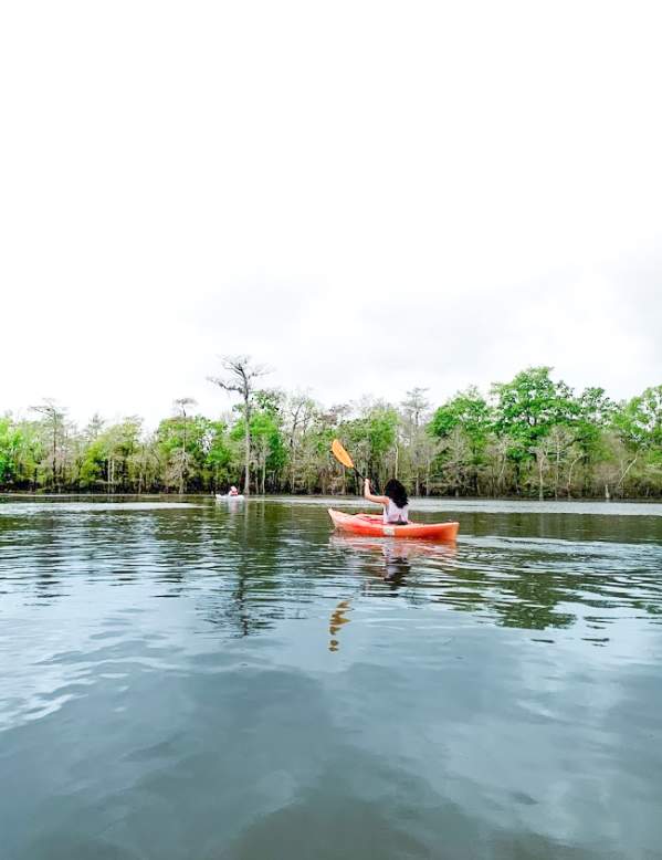 A lone visitor kayaks through the waters of Big Thicket near Beaumont.