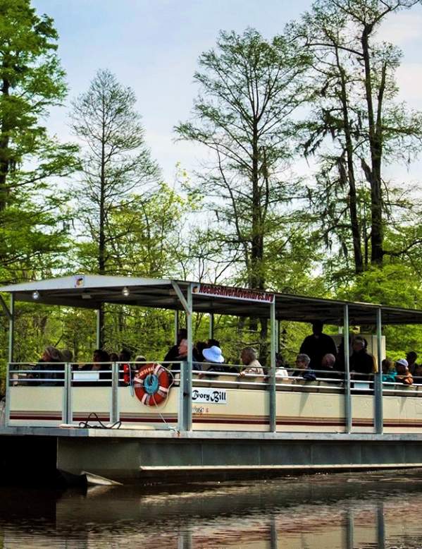 Pantoon boat tour from the Neches River Adventures