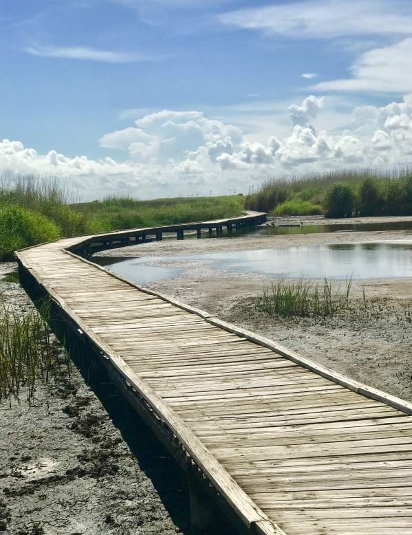 Sea Rim State Park