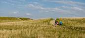 Konza Prairie