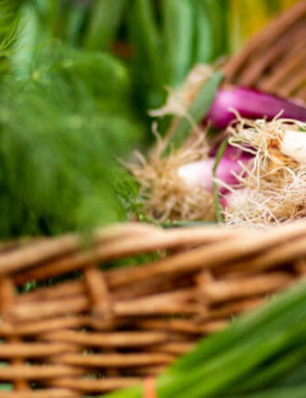 Farmers-Market produce