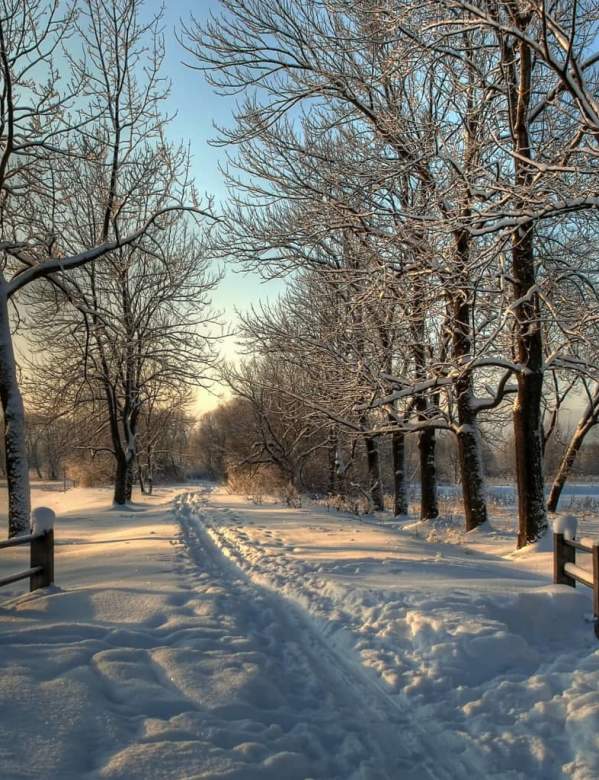 Winter trail