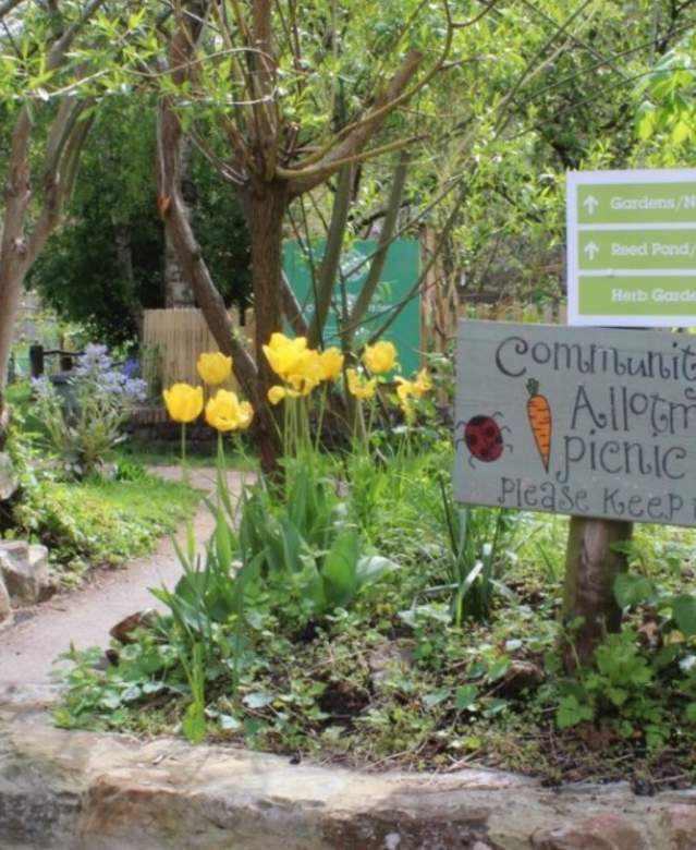 The community gardens allotments at Windmill Hill City Farm, Bristol - credit Windmill Hill City Farm