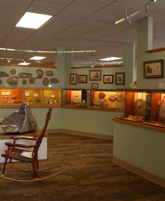 Petrified Wood Gallery