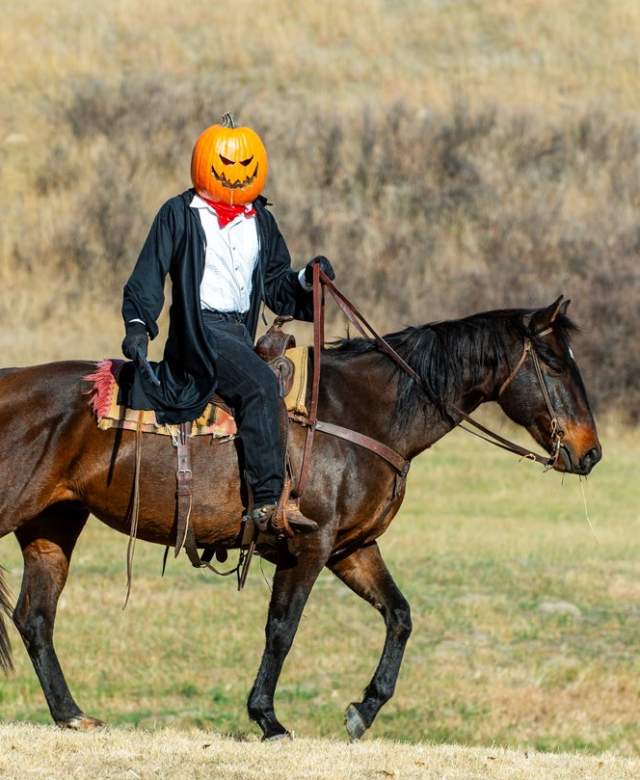 headless horseman