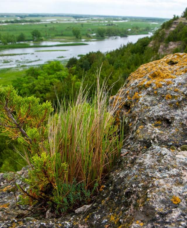 Ash Hollow view