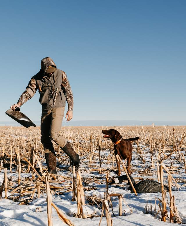 Setting Goose Decoys