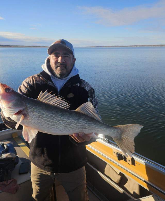 Luis Juarez Thanksgiving Walleye