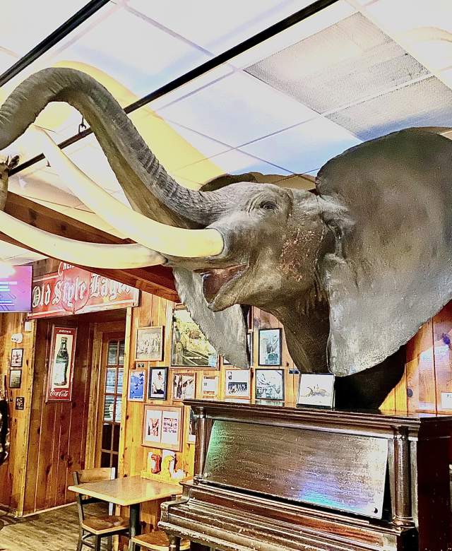 Ole's Big Game Elephant
