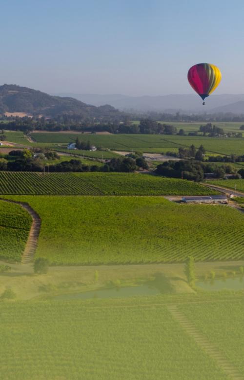 aerial view of Napa Valley with green vineyards and blue skies