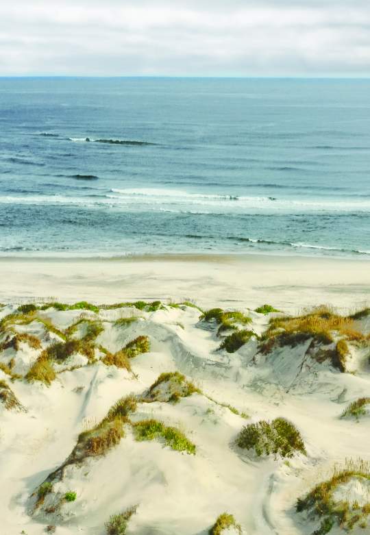 beach sand lifesaving