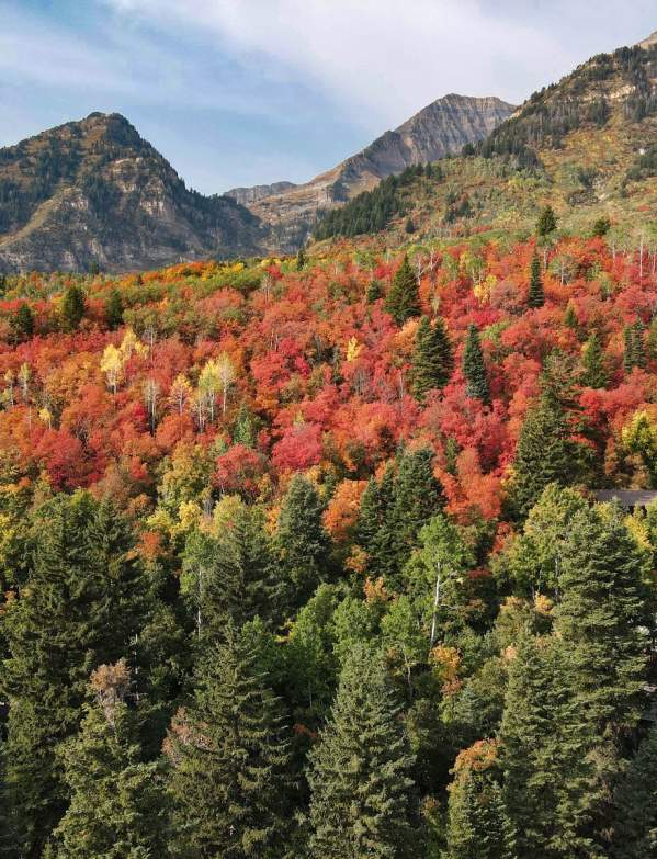Alpine Loop in Fall Time