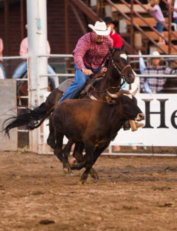 rider on horse at Spanish Fork Rodeo