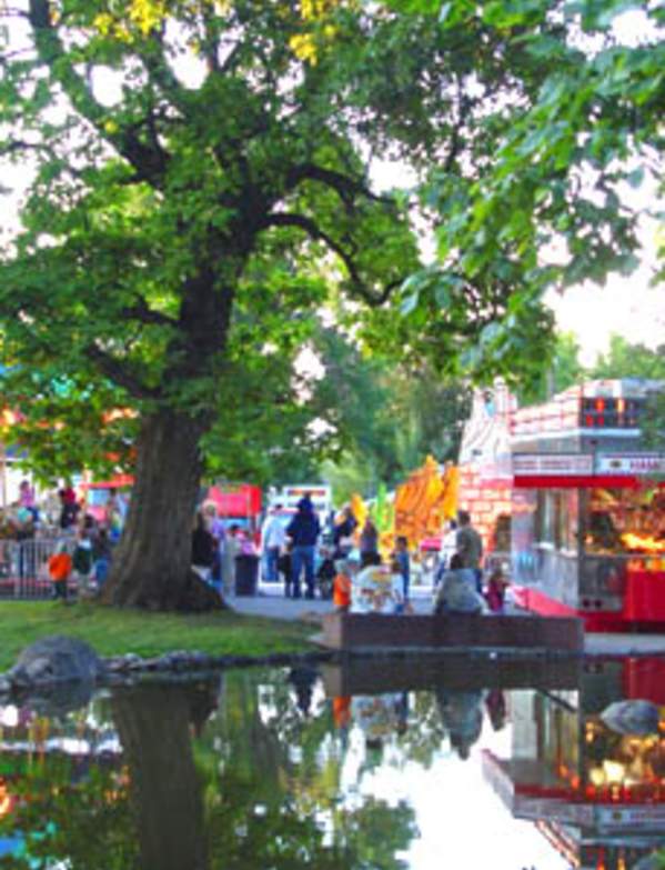 food vendor booths and carnival rides near a pond