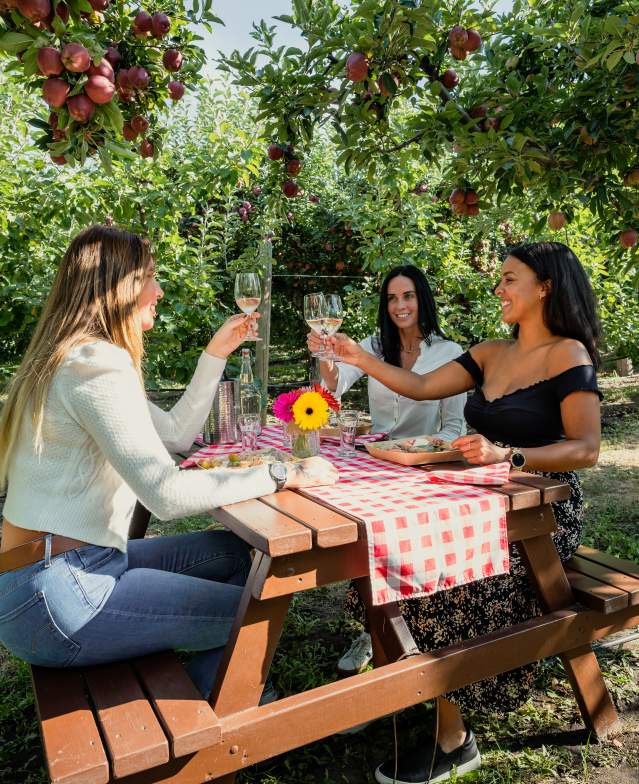Picnic Wine Cider Tasting in the Apple Tree Orchard at The View Winery 1