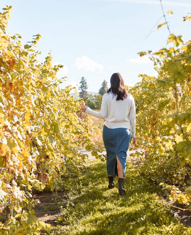 2023, Fall, October. Photo from Traveling Out in the Thompson Okanagan (TOTO) October 2023 Photoshoot.