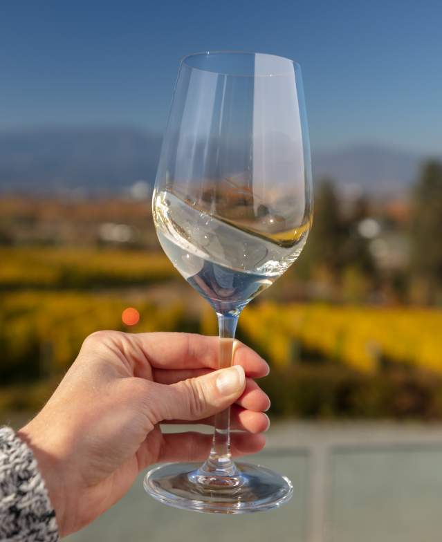 Wine Touring 101