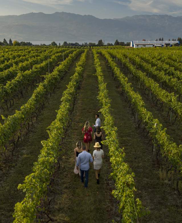Volcanic_Hills_Estate_Winery_Aerial_October_7_