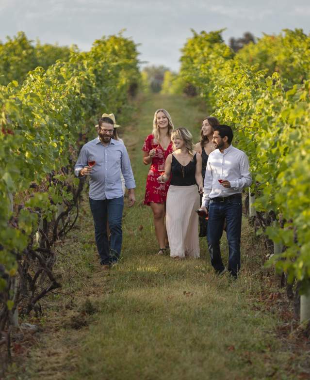 Volcanic Hills Estate Winery Guided Tour in Vineyard 11