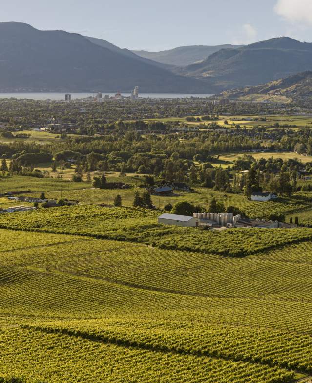 The View Winery Vineyards Aerial 1