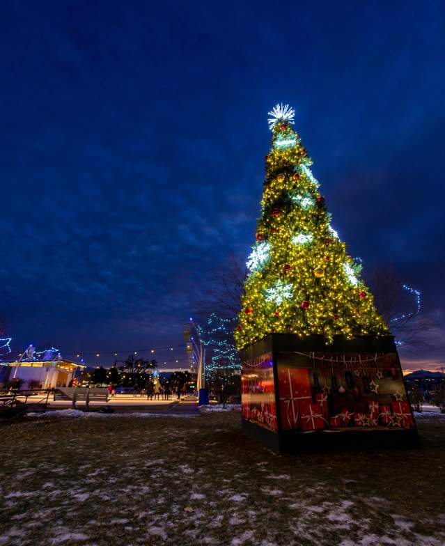 Christmas Tree Downtown