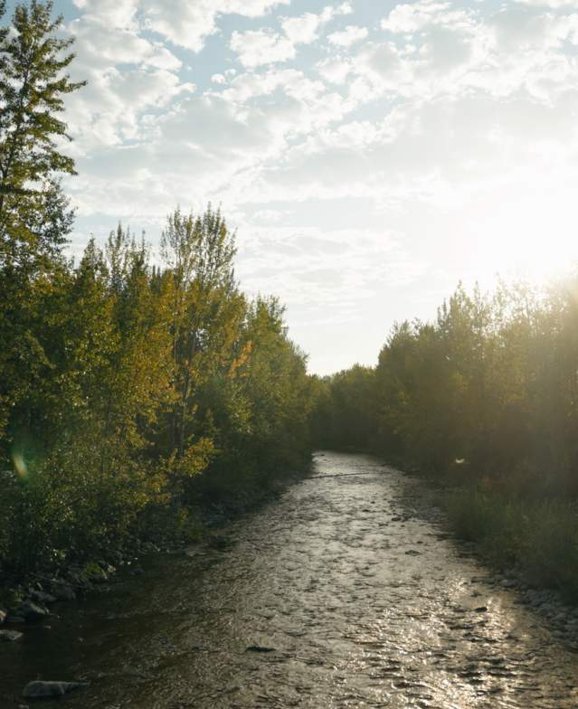 Mission Creek