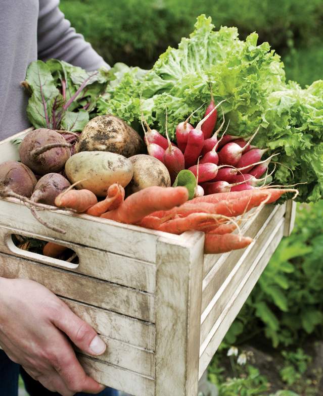 Farms, Orchards and Gardens