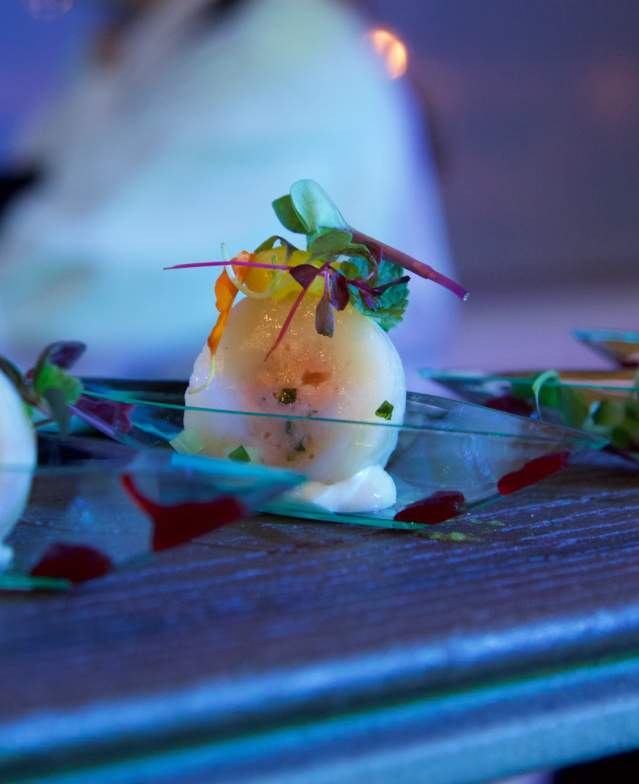 Amuse (formally Devour) (15)