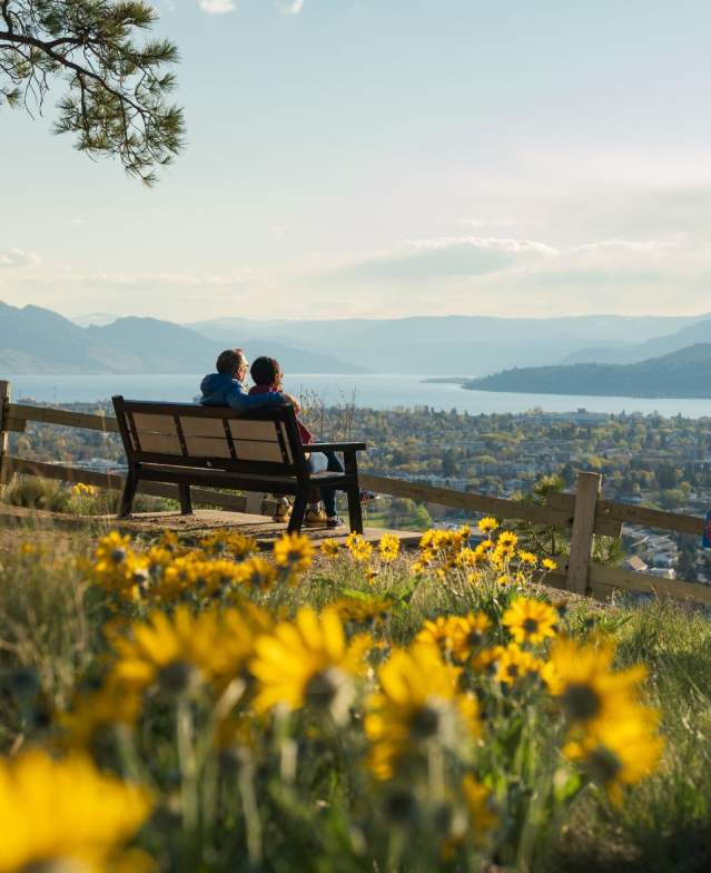 A couple sitting on a bench at Dilworth Park, overlooking Kelowna and Okanagan Lake. There are blooming Okanagan sunflowers in the foreground.