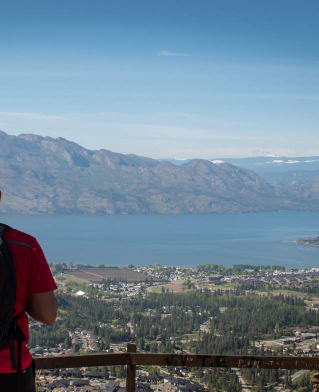 View from Mount Boucherie