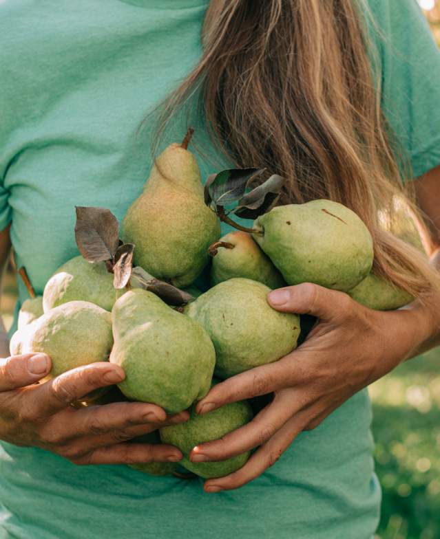 Pears - Farm Spots
