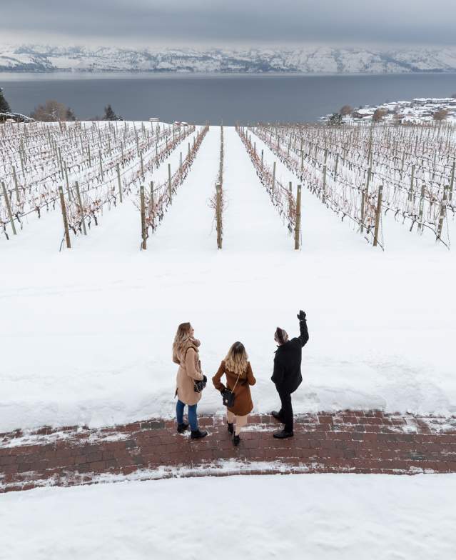 Wicked Wine Tours - Winter at Quails' Gate
