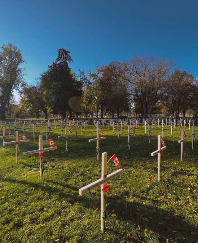 Field of Crosses, City Park