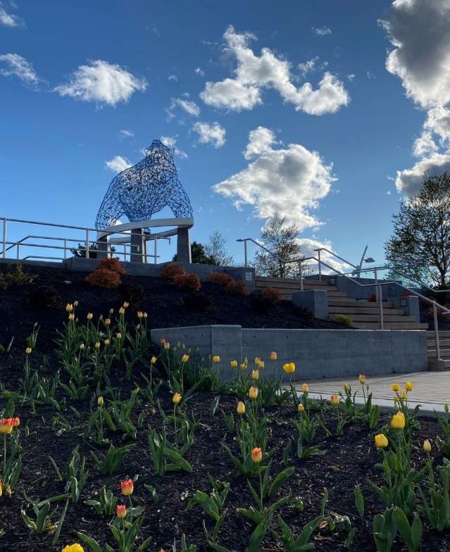 Stuart Park Bear with Tulips