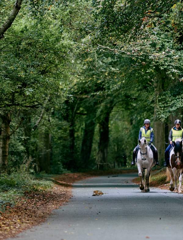 2 people Horse-riding in road