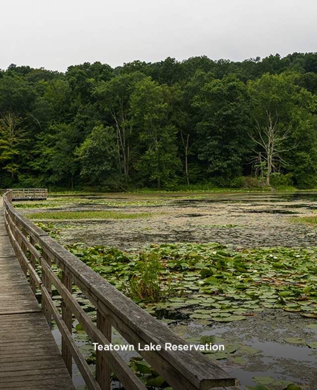 Teatown Lake Reservation