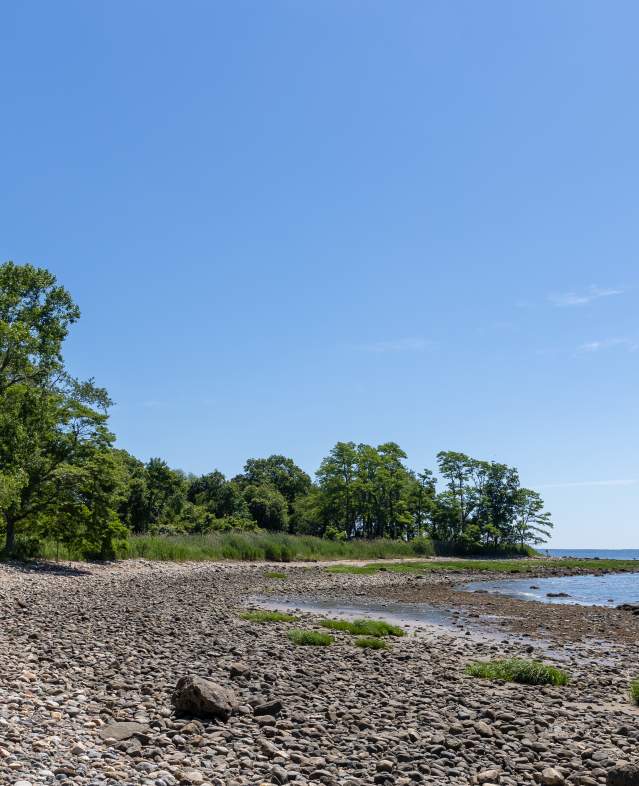 Edith Read Sanctuary Beach
