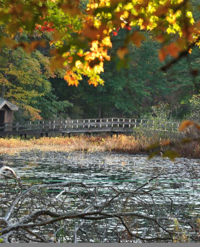 The bridge to Wildflower Island on a fall morning at Teatown Lake Reservation.