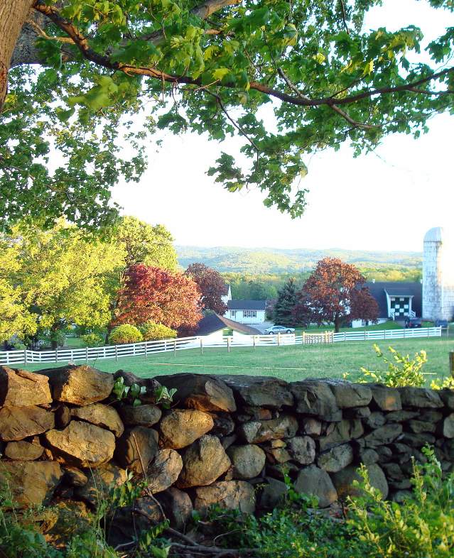Ted Bohlk - Hilltop Hanover Farm