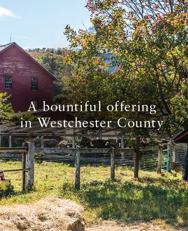 Westchester Farm Trail, Muscoot Farm