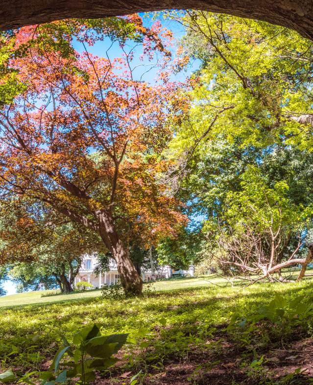 Lyndhurst grounds Spring