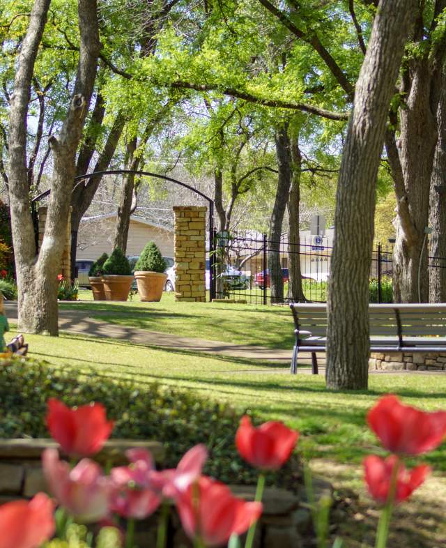 Landscape with trees and tulips at the Botanical Garden in Grapevine, TX.